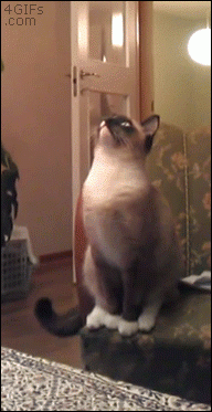 Jump